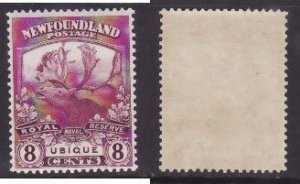 Newfoundland-Sc#121- id28-unused og NH 8c Caribou-Ubique-1919-any rainbow colou