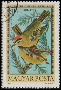 Hungary C340 - Cto - 1fo Firecrests (1973)