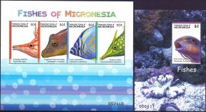 Micronesia. Fish. MNH.