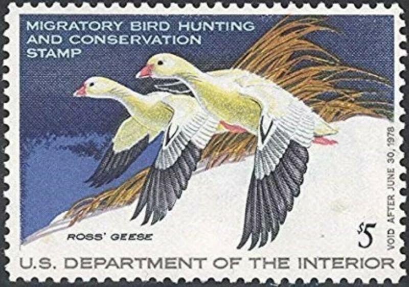 RW44 1977 Duck Stamp - $5 FACE - (Mint NEVER HINGED) cv$10.00