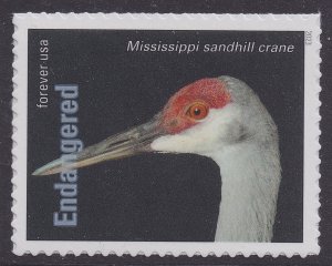 US 5799t Endangered Species Mississippi Sandhill Crane F single MNH 2023