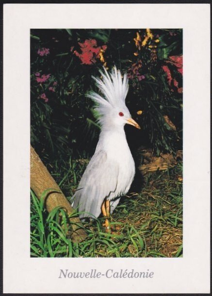 FRENCH POLYNESIA 1993 postcard to Noumea - BOURAIL slogan pmk..............D3116
