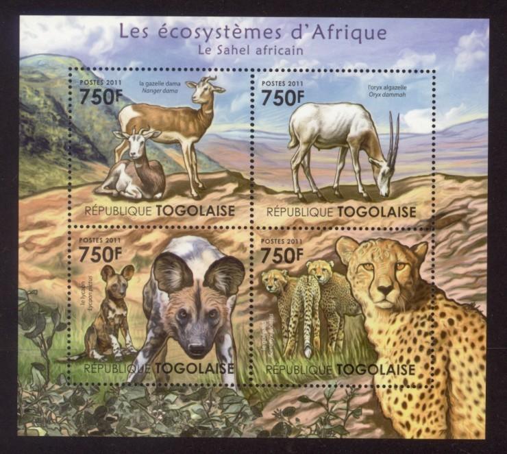 Togo - New Issue - MNH African Sahel Animals (M/S)