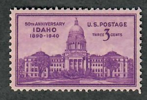 896 Idaho Statehood F-VF MNH single