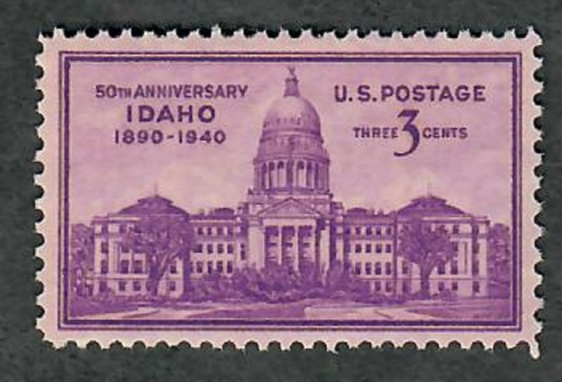 896 Idaho Statehood F-VF MNH single