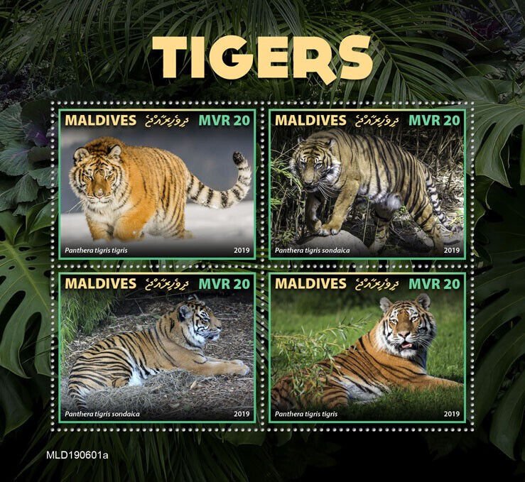 Maldives 2019 MNH Wild Animals Stamps Tigers Javan Asian Tiger 4v M/S