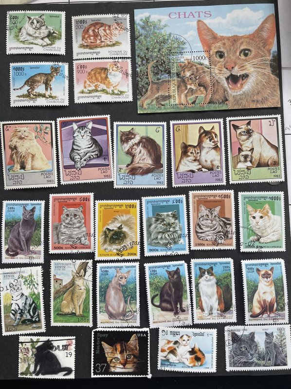 World  Wide Cat Stamps Mixture Cute Selection some series.  Free Shipping