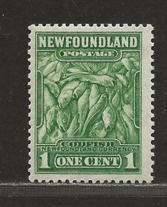 NEWFOUNDLAND SC# 183   FVF/MLH