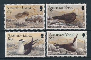 [17661] Ascension 1999 Birds Vögel Oiseaux Ucelli MNH