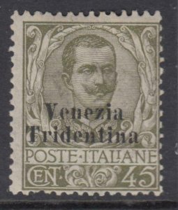 Italy 1918 - Venezia Tridentina - Sassone n.25 cv 310$ MH*