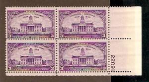 #838 Iowa Plate Block thin