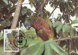 St. Lucia 1987 Maxicard Sc #905 $1 St. Lucia parrot WWF