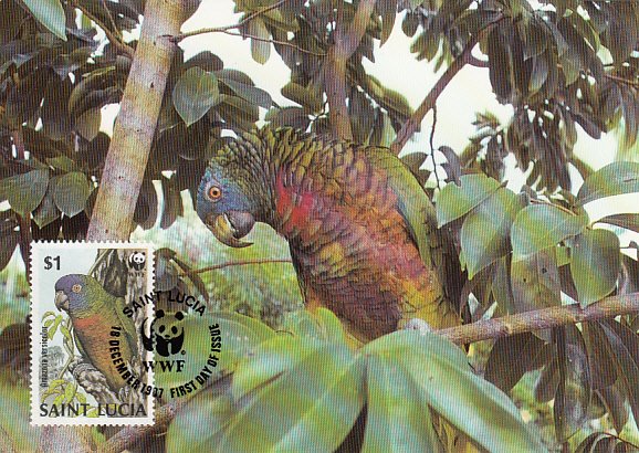 St. Lucia 1987 Maxicard Sc #905 $1 St. Lucia parrot WWF