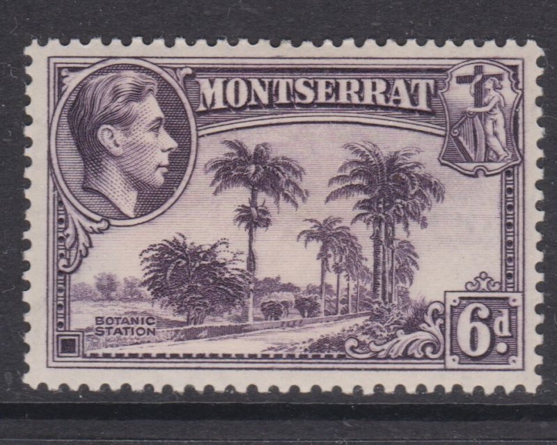 Montserrat 1938 Botanic Station 6c Perf 13 Mint Hung SG 107 VGC