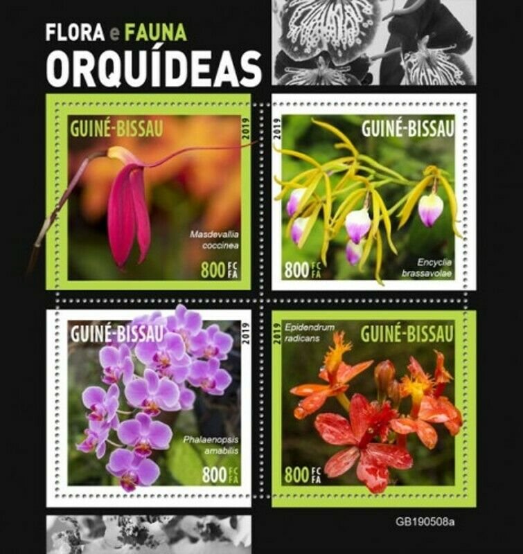 Guinea-Bissau - 2019 Orchid Flowers - 4 Stamp Sheet - GB190508a