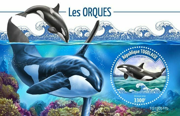 Z08 TG190577b TOGO 2019 Orcas MNH ** Postfrisch