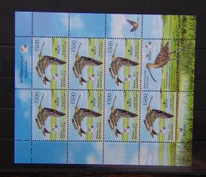 Belarus 2011 Curlew Birds Miniature Sheet MNH