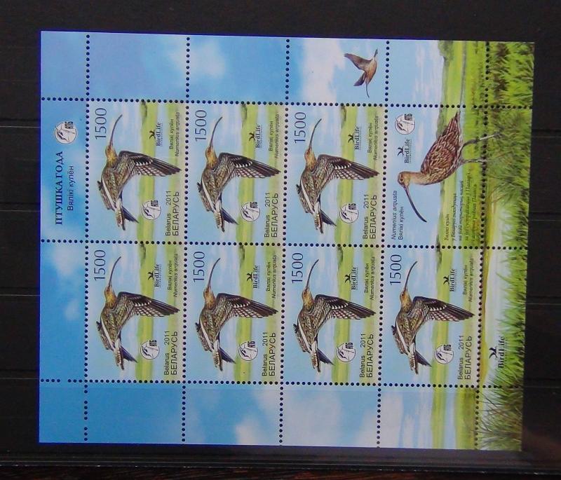 Belarus 2011 Curlew Birds Miniature Sheet MNH