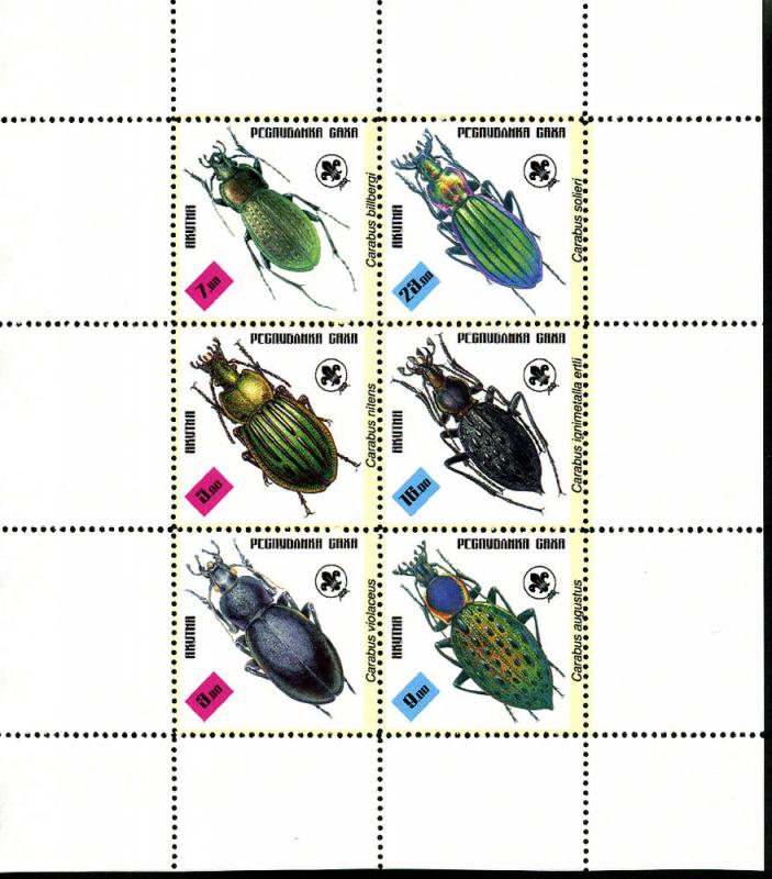 YAKUTIA RUSSIA LOCAL SHEET INSECTS BEETLES