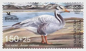 Postage stamps of Kyrgyzstan 2024 - Bird of the Year, Goose with a striped head