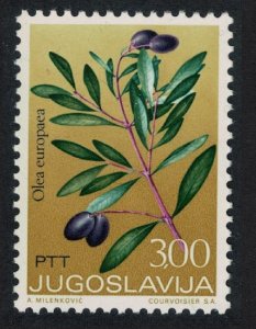 Yugoslavia Olive Medicinal Plant 1973 MNH SG#1557