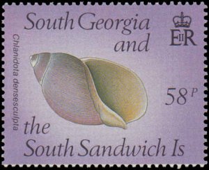 South Georgia #127-130, Complete Set(4), 1988, Seashells, Polar, Never Hinged