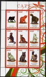 RWANDA - 2009 - Domestic Cats - Perf 9v Sheet - MNH - Private Issue