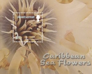 Montserrat # 1150-1151, Caribbean Sea Flowers, NH, 1/2 Cat.