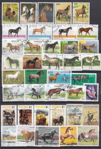 Horses from different continents - 39 small stamp lot  #4 - (2354)