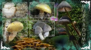 Stamps.  Mushrooms  2018 1+1 sheets perforated