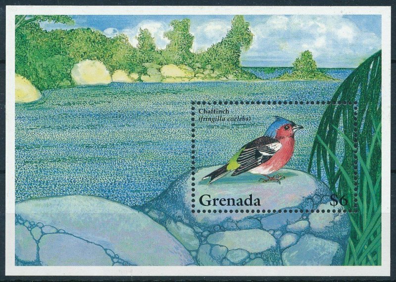[108855] Grenada 1995 Bird vogel oiseau Chaffinch Souvenir Sheet MNH