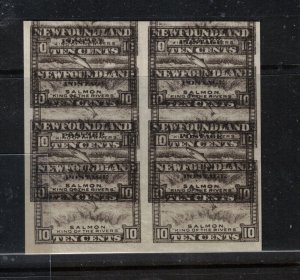 Newfoundland #193iii Extra Fine Never Hinged Dramatic Double Printing Block