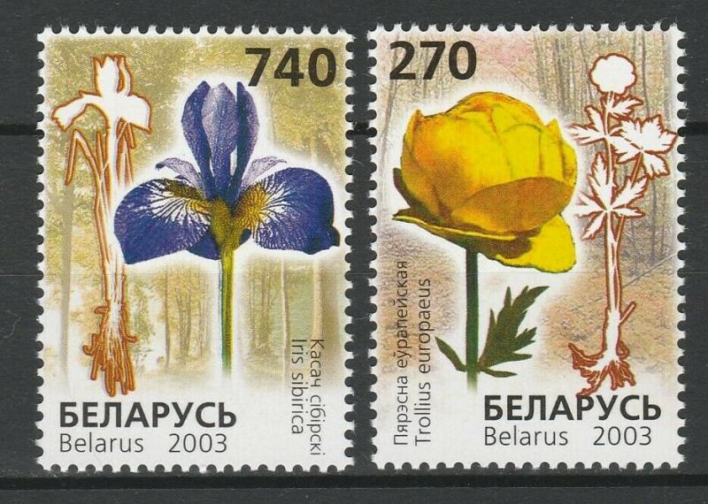 Belarus 2003 Flora Flowers Plants 2 MNH stamps