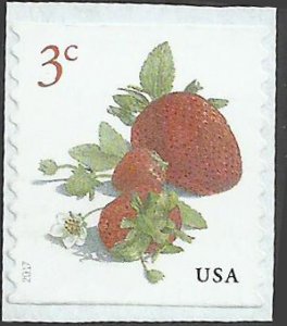 # 5201 Used Strawberries