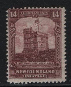 NEWFOUNDLAND 155 MINT HINGED