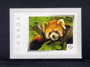 RED PANDA = BEAR = Picture Postage Personalized stamp MNH Canada 2013 [p4w6/1]
