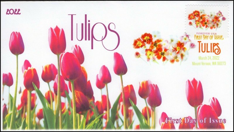 22-075, 2022, Tulips, First Day Cover, Digital Color Postmark, Mount Vernon WA