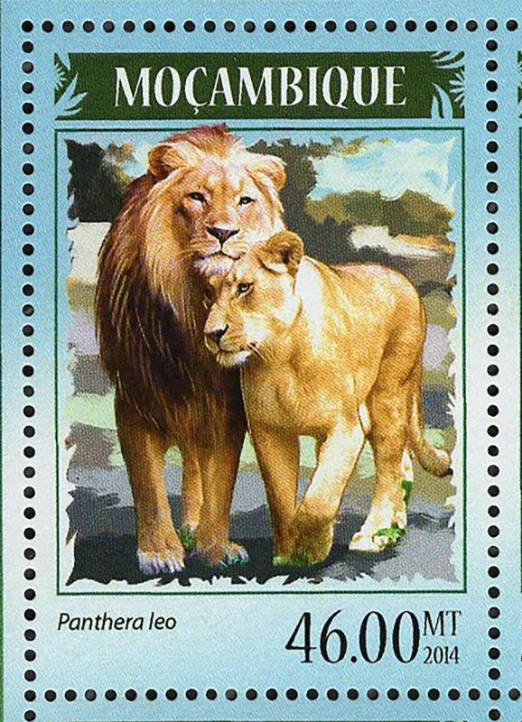 Lions Leopards Stamp Panthera Pardus Panthera Leo S/S MNH #7370-7373