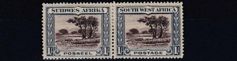 SOUTH WEST AFRICA  1931  S G 80  1/-   CHOCOLATE & BLUE    MH