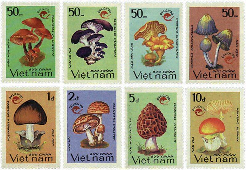 37530 MNH VIETNAM 1990 SETAS