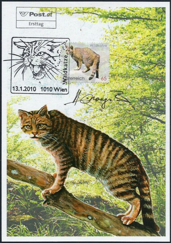 2010 Austria Wild Animals, Wildcat, Artist signed FDC Maxi Card! Beautiful! 