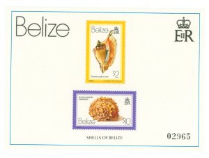 Belize #488 Mint (NH) Souvenir Sheet
