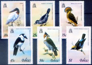 Fauna. 1980 Uccelli.