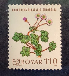 Faroe Islands 1980 Scott 49 MNH - 110o,  Flowers,  Glacier Buttercup