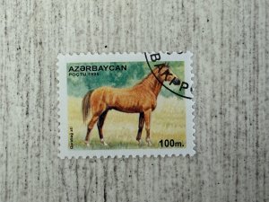 Azerbaijan #539 Used, 100m, Fauna and Flora, 2024 SCV $0.25