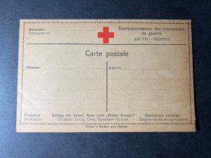 Mint Red Cross Postcard Prisoner of War POW Postal Stationery German Russian