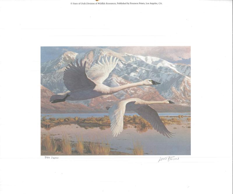 UTAH #1 1986 STATE DUCK STAMP PRINT WHISTLING SWANS  by Leon Parson