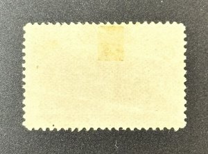 1893 US Postage Stamp (Scott #234) Unused NG HM