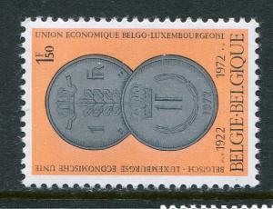 Belgium #843 Mint - penny auction