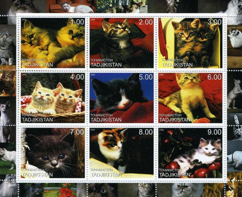 Tajikistan 2000 DOMESTIC CATS Sheet (9) perforated Mint (NH)